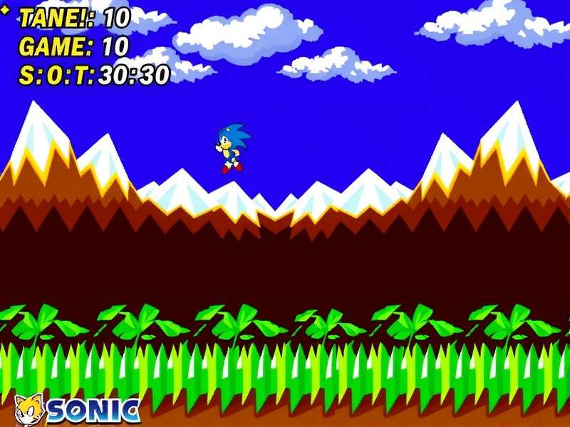 Sonic Flash Game RPG gameplay screenshot showing turn-based battle menu